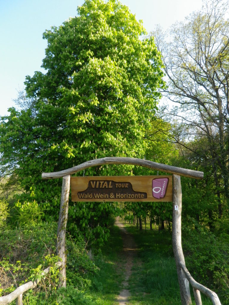 Wald, Wein & Horizonte Start