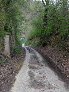 A Paved Section of Trail