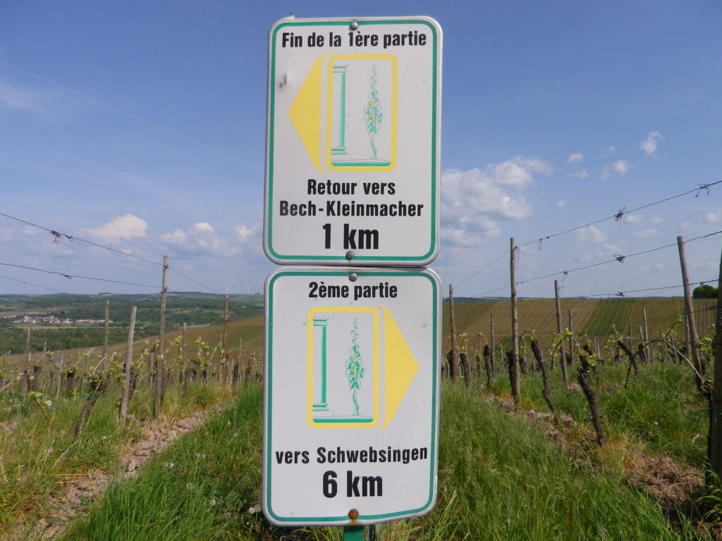 Circuit Viticulturel Signage