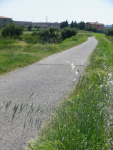 Representative Bike Trail Surface