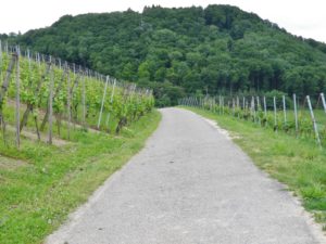 Wein Wanderweg Representative Surface