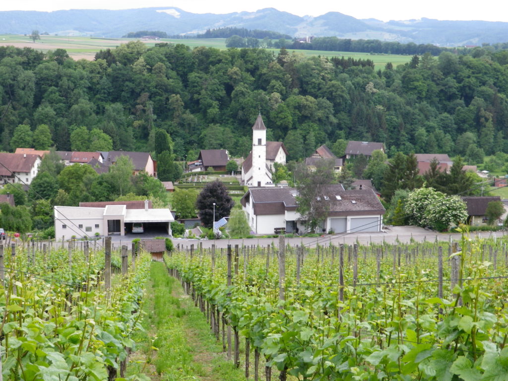 Tegernfeld, Canton Aargau 
