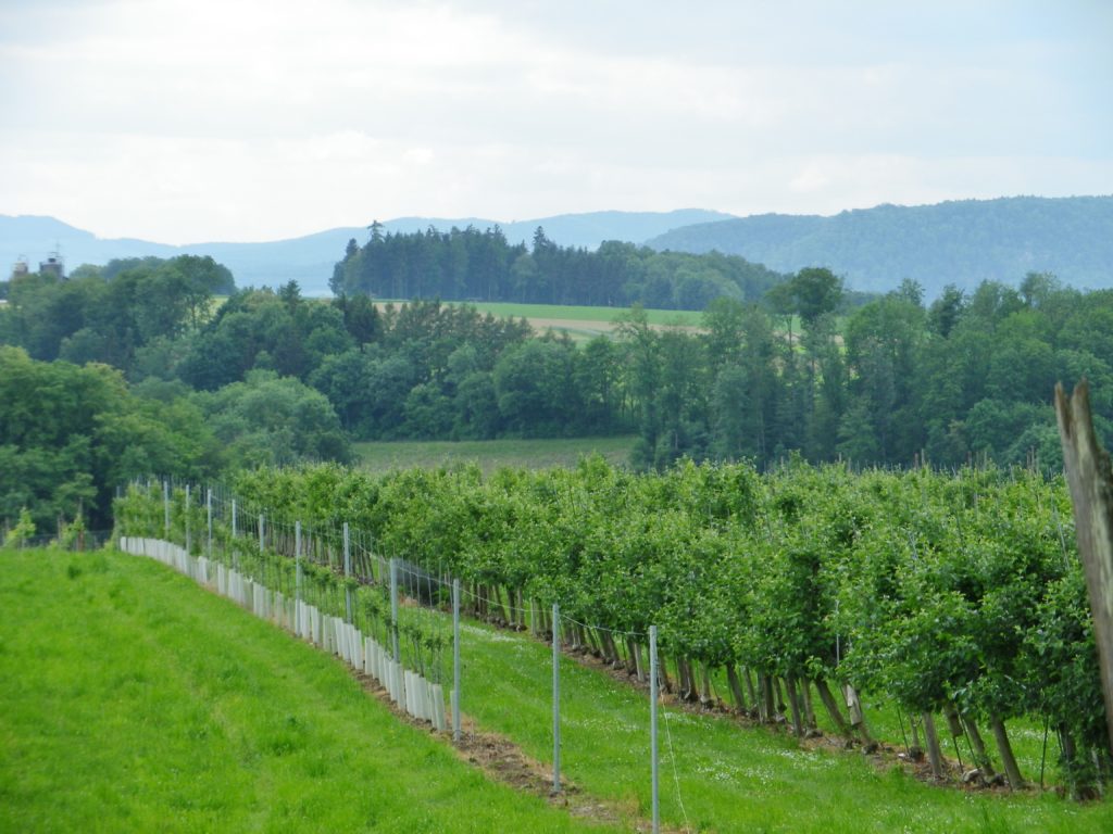 Aargau Scenery