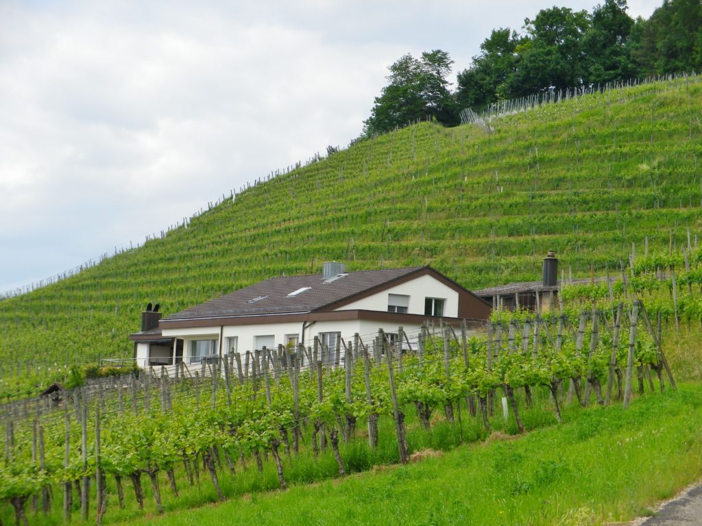 Winery on the Trail