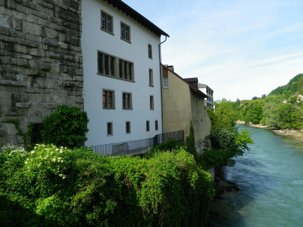Green Waters of the Aare (Brugg)