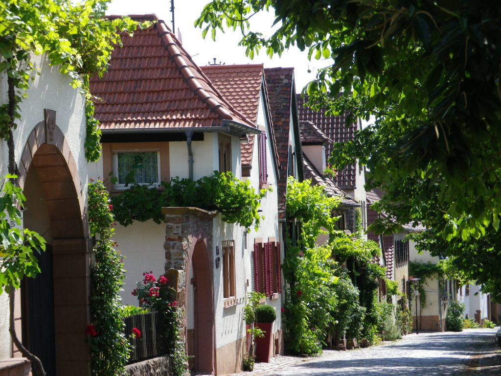 Rhodt unter Rietburg