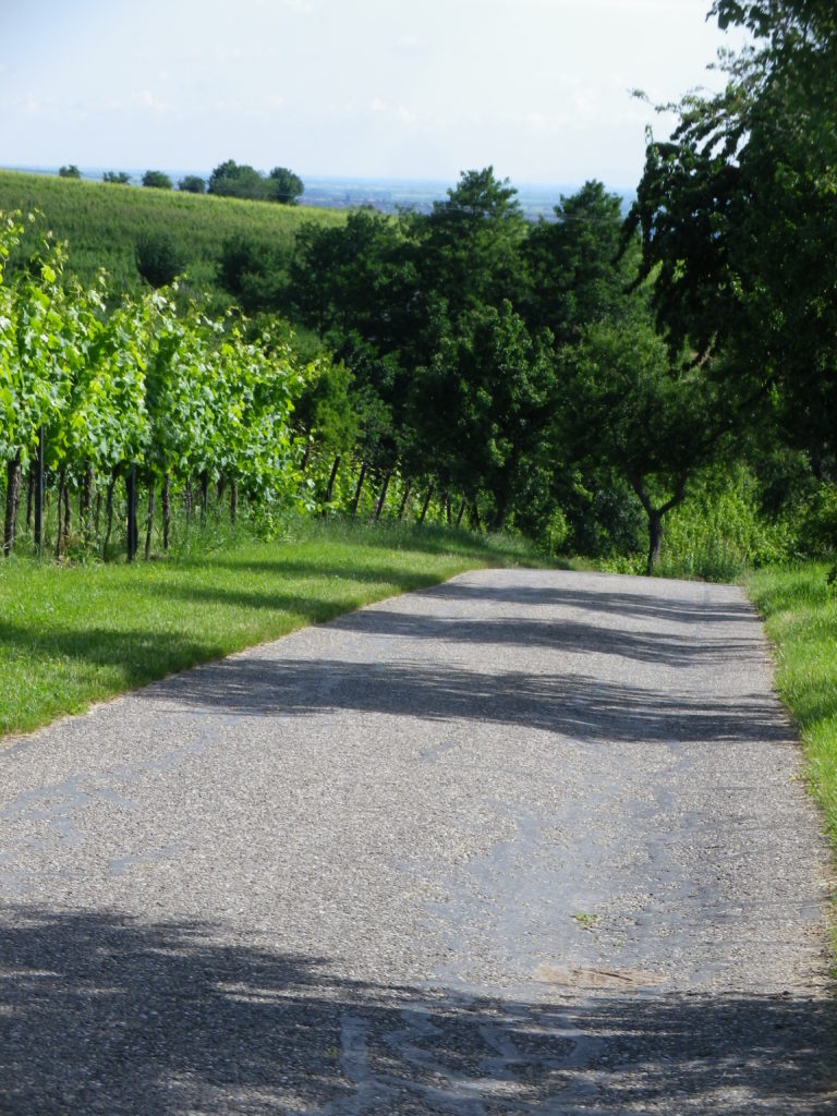 Trail by Sankt Martin