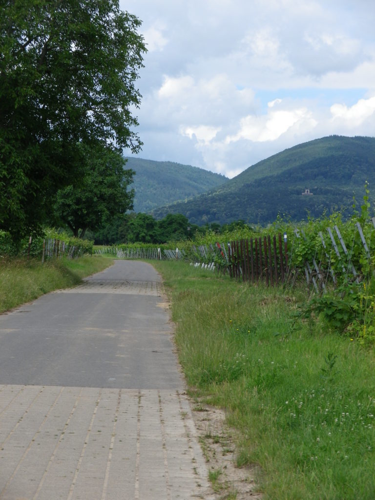 Trail through the Flat Lands