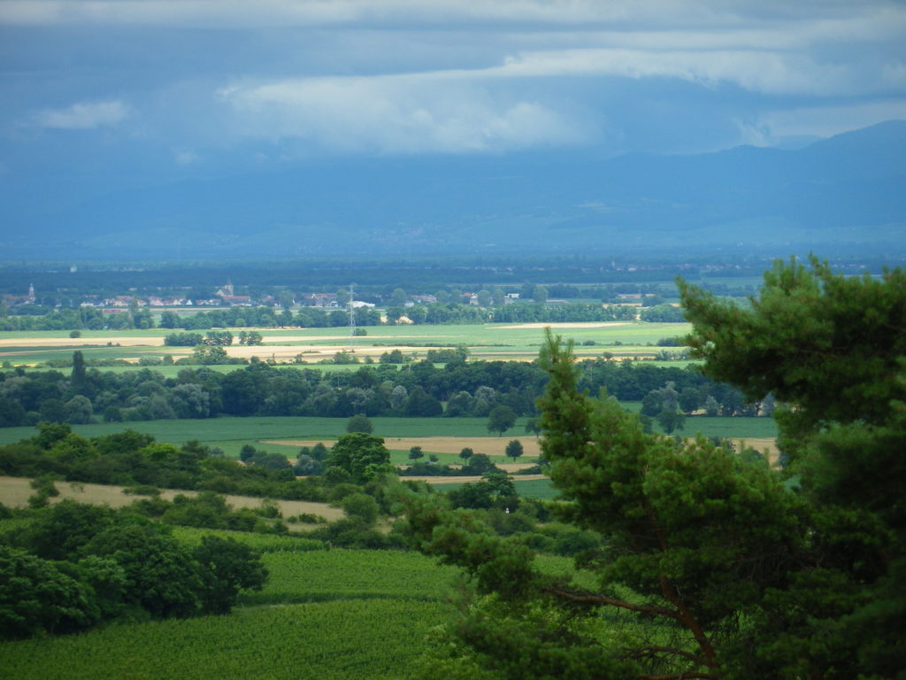 Ever Darker Black Forest Mountains in Germany 