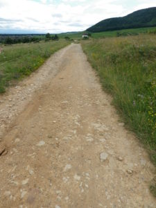 Trail Surface atop the Bollenberg