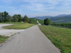 Between Ehrenstetten and Ebringen