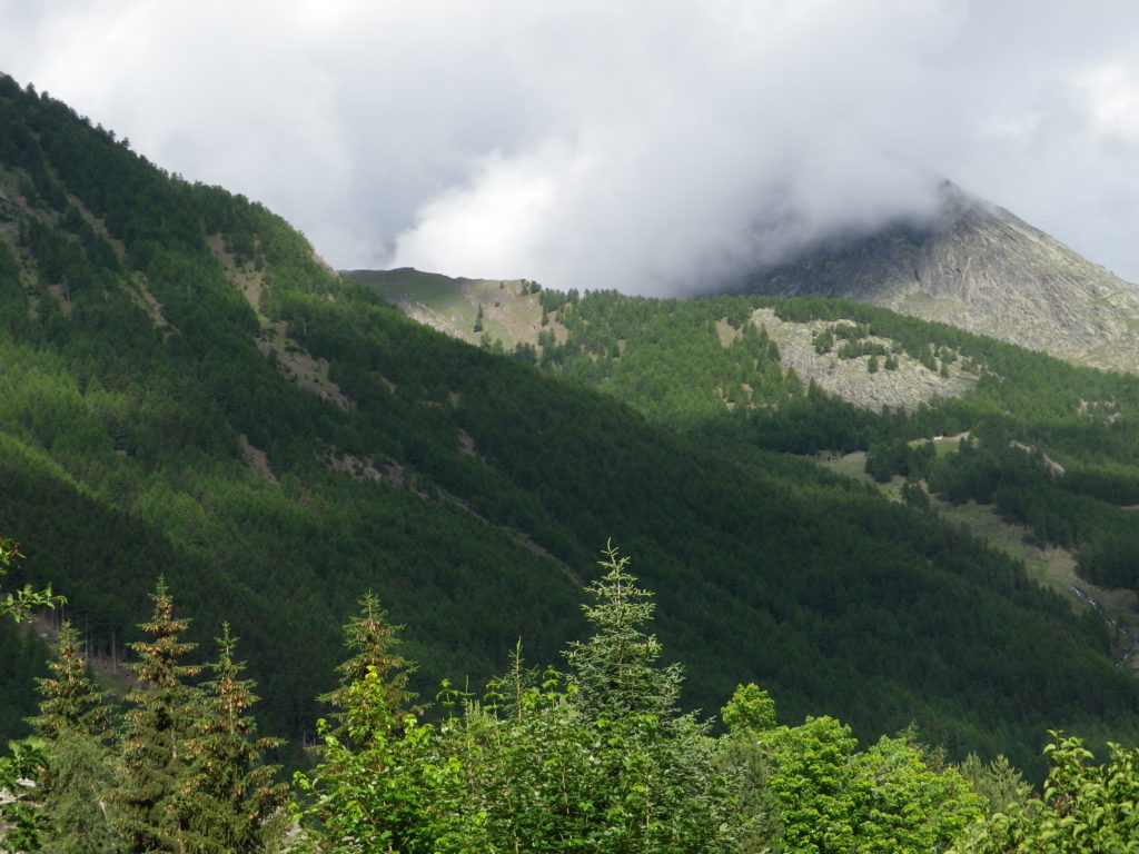 Cloud-Shrouded Mountaintop