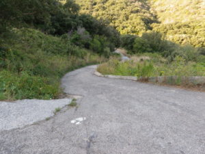 Representative Trail Section