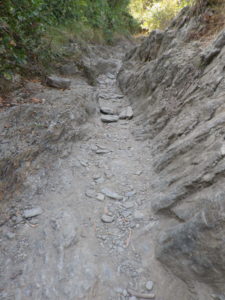 Narrow Rocky Trail Segment