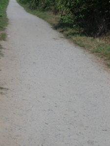 Representative Section: Unpaved Trail Surface 