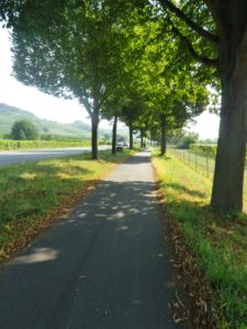 Representative Bike Lane Section